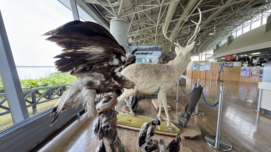 道の駅 スワン44ねむろの写真