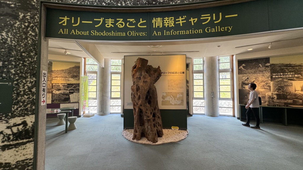 道の駅 小豆島オリーブ公園の写真