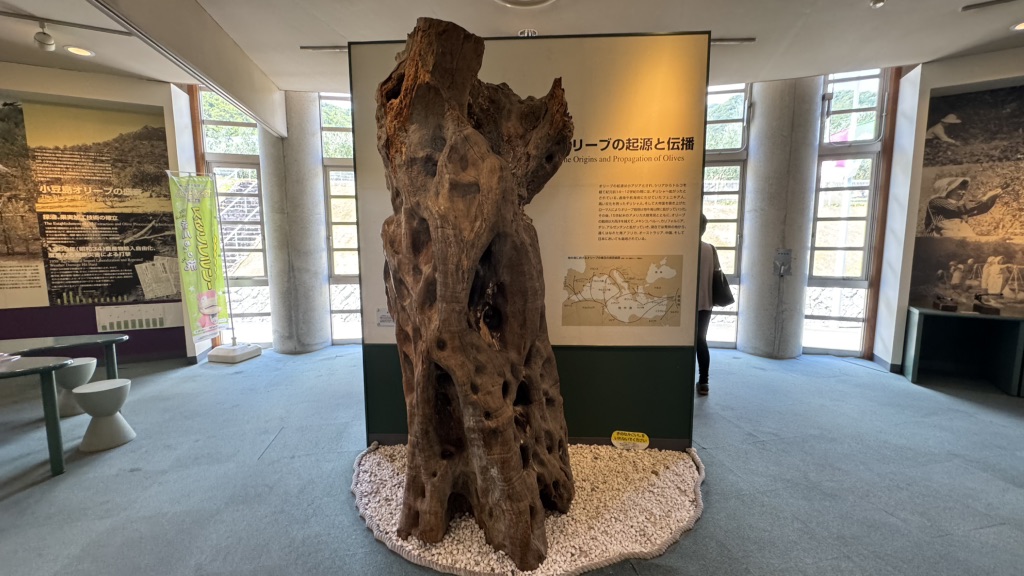 道の駅 小豆島オリーブ公園の写真