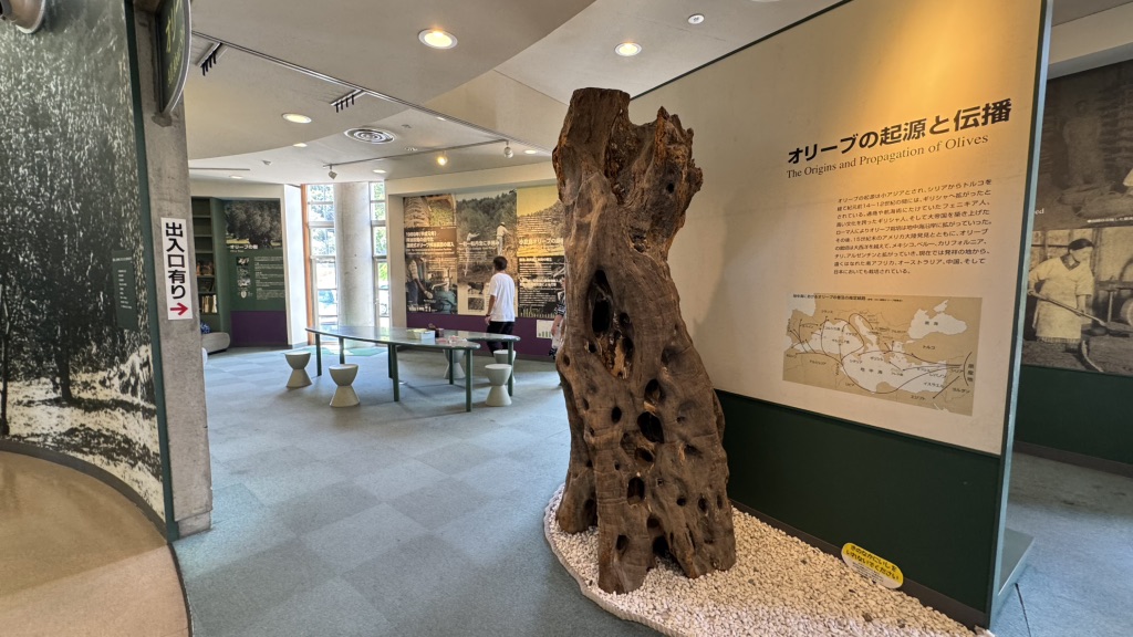 道の駅 小豆島オリーブ公園の写真