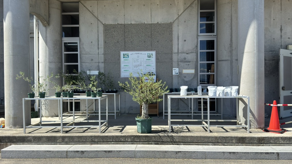 道の駅 小豆島オリーブ公園の写真