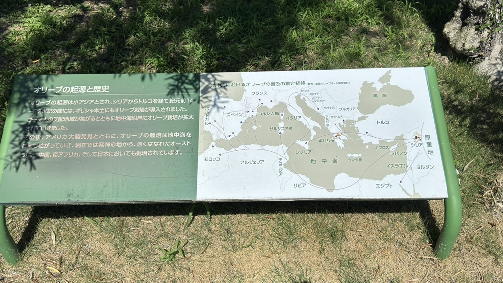 道の駅 小豆島オリーブ公園の写真