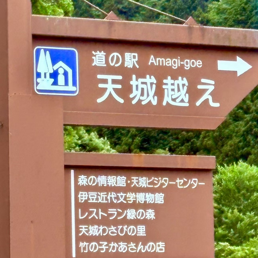 道の駅 天城越えの写真