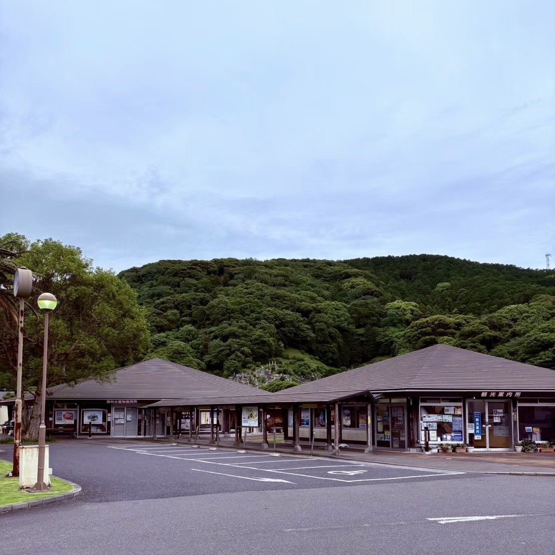 道の駅 下賀茂温泉　湯の花の写真