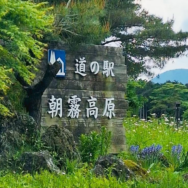 道の駅 朝霧高原の写真