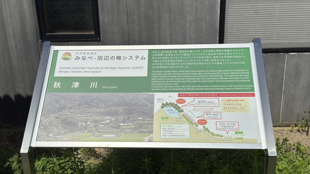 道の駅 紀州備長炭記念公園の写真