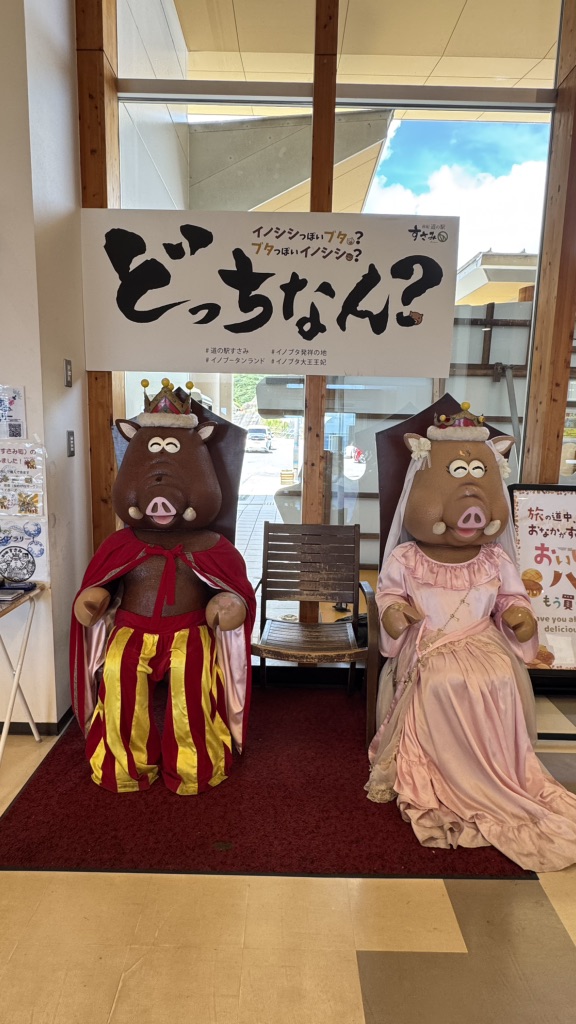 道の駅 すさみの写真