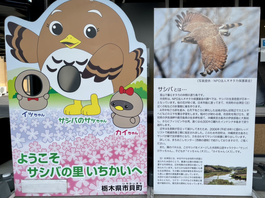 道の駅 サシバの里いちかいの写真