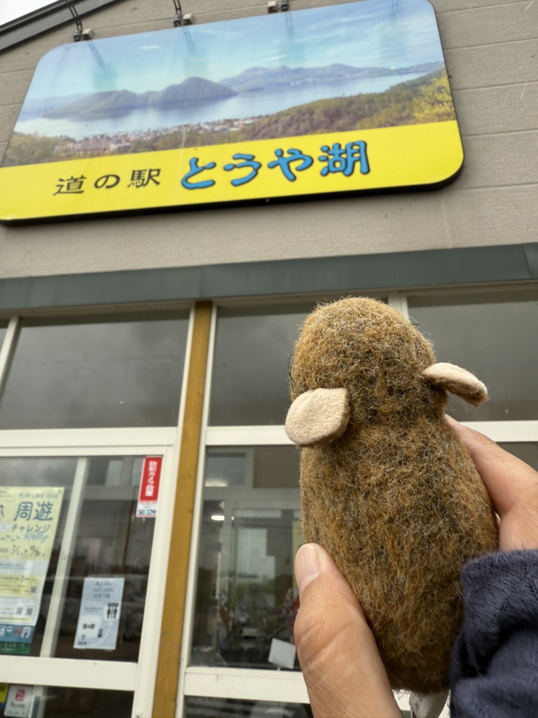道の駅 とうや湖の写真
