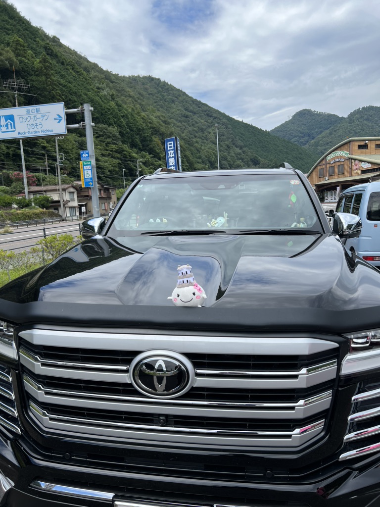 道の駅 ロック・ガーデン　ひちそうの写真