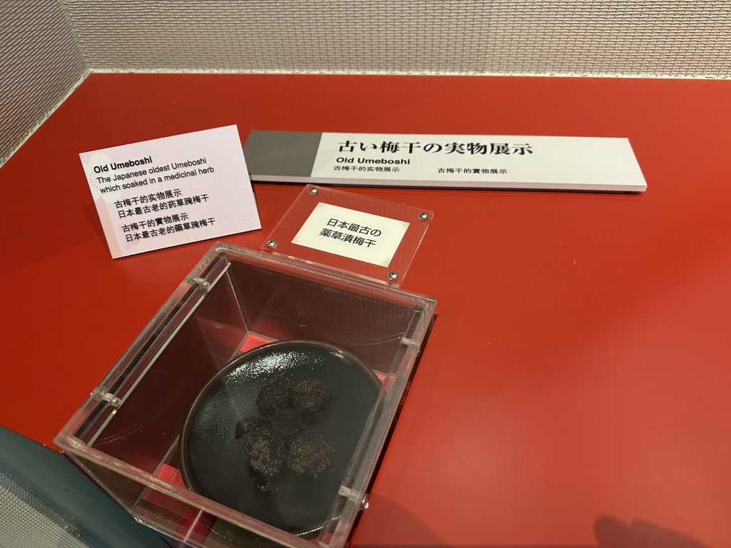 道の駅 みなべうめ振興館の写真