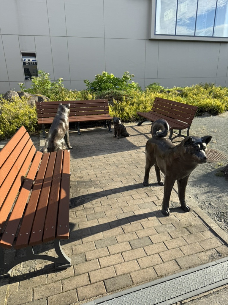 道の駅 大館能代空港の写真