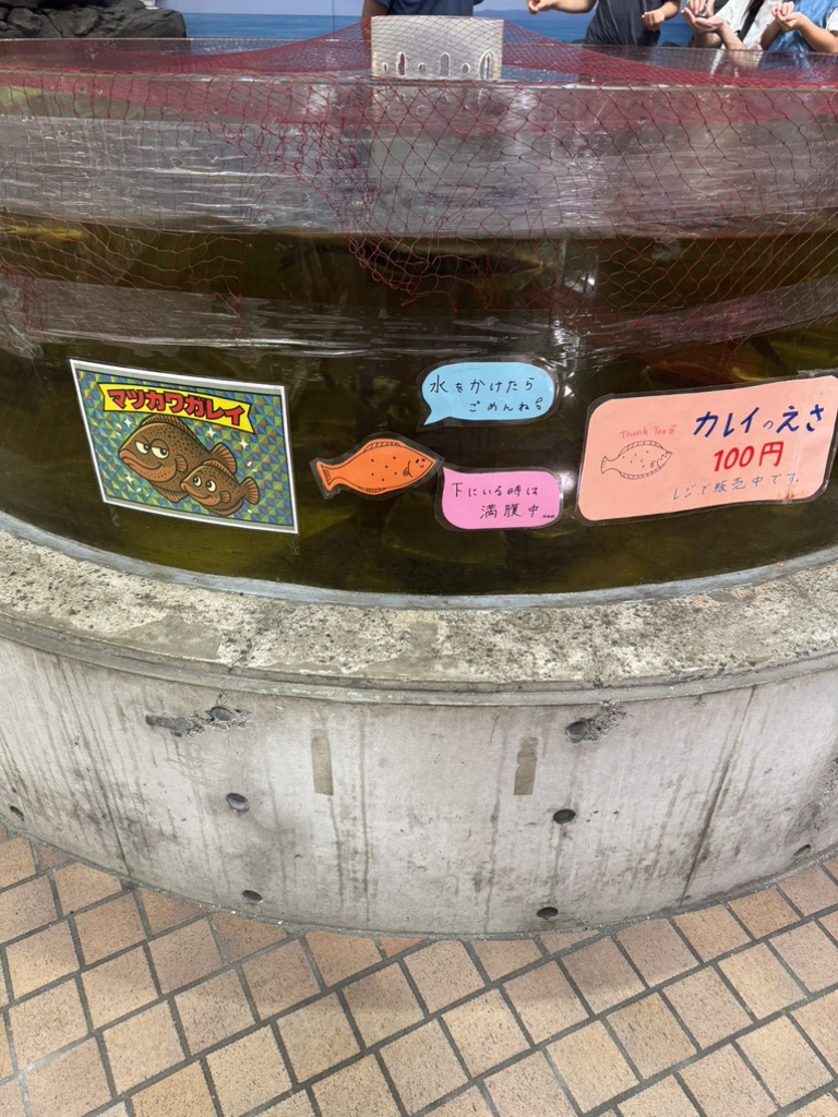 道の駅 こどまりの写真