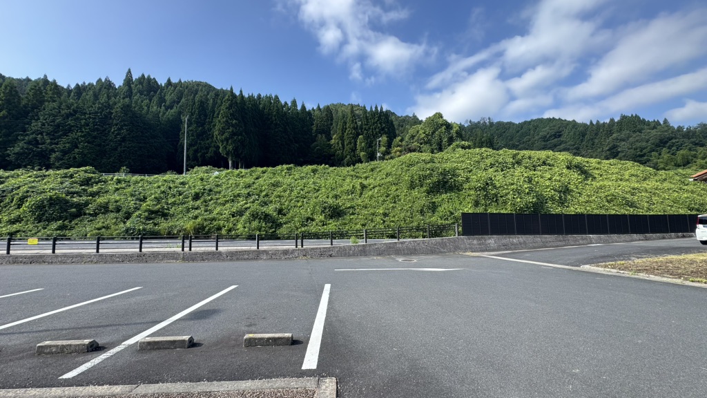 道の駅 おろちの里の写真