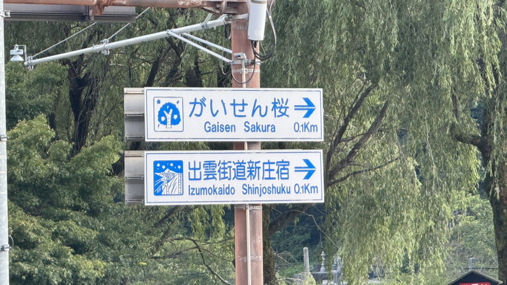 道の駅 がいせん桜 新庄宿の写真