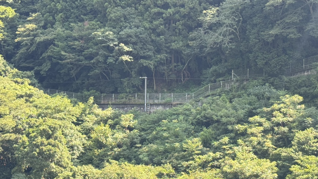 道の駅 大歩危の写真