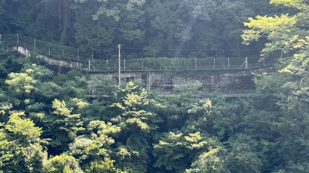 道の駅 大歩危の写真