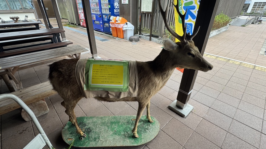 道の駅 熊野・板屋 九郎兵衛の里の写真
