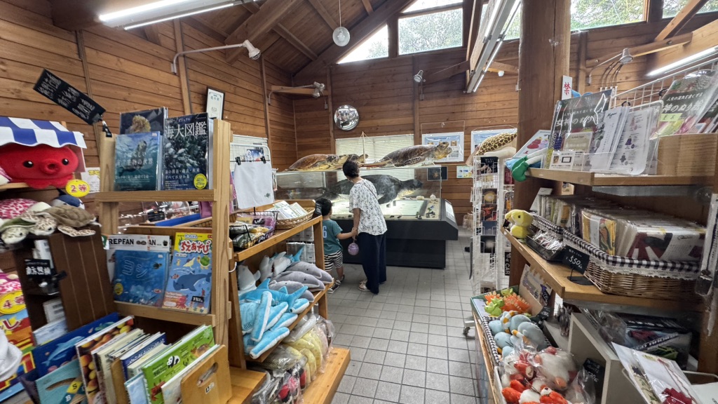 道の駅 紀宝町ウミガメ公園の写真