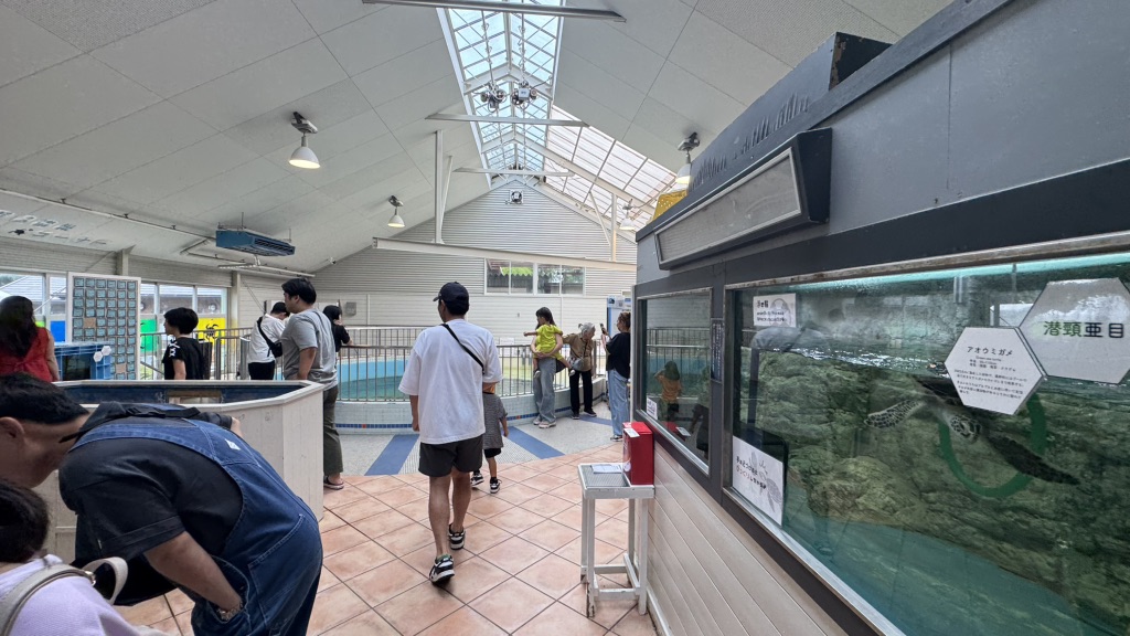 道の駅 紀宝町ウミガメ公園の写真