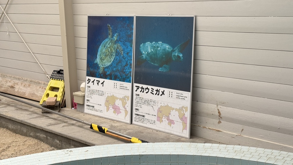道の駅 紀宝町ウミガメ公園の写真