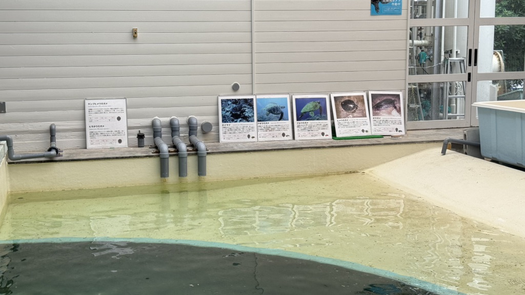 道の駅 紀宝町ウミガメ公園の写真