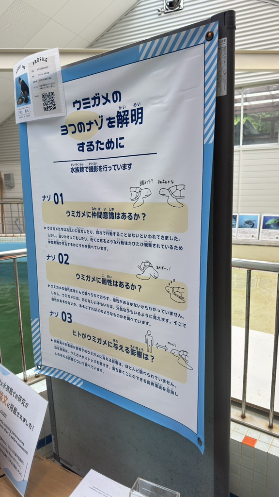 道の駅 紀宝町ウミガメ公園の写真