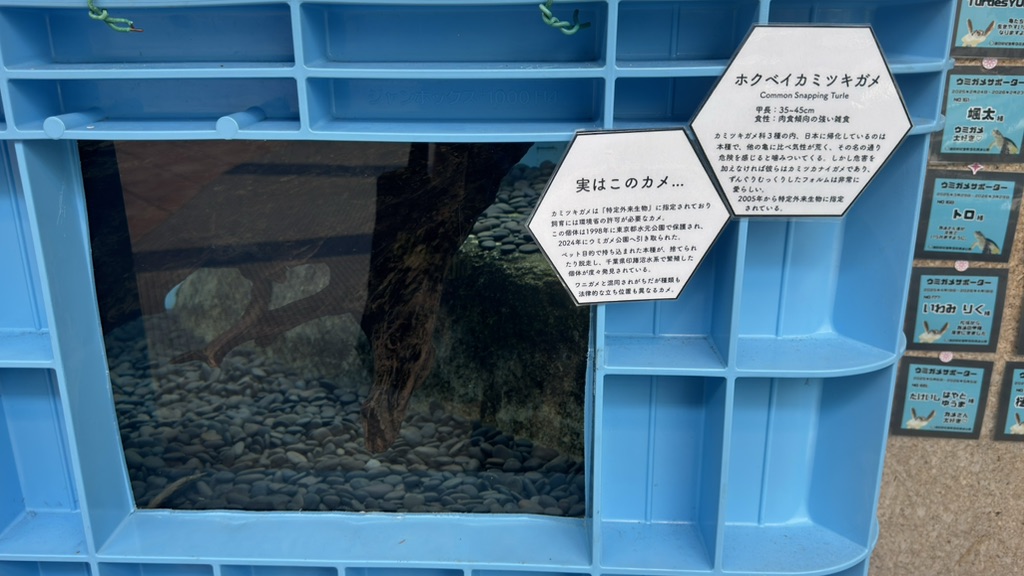 道の駅 紀宝町ウミガメ公園の写真