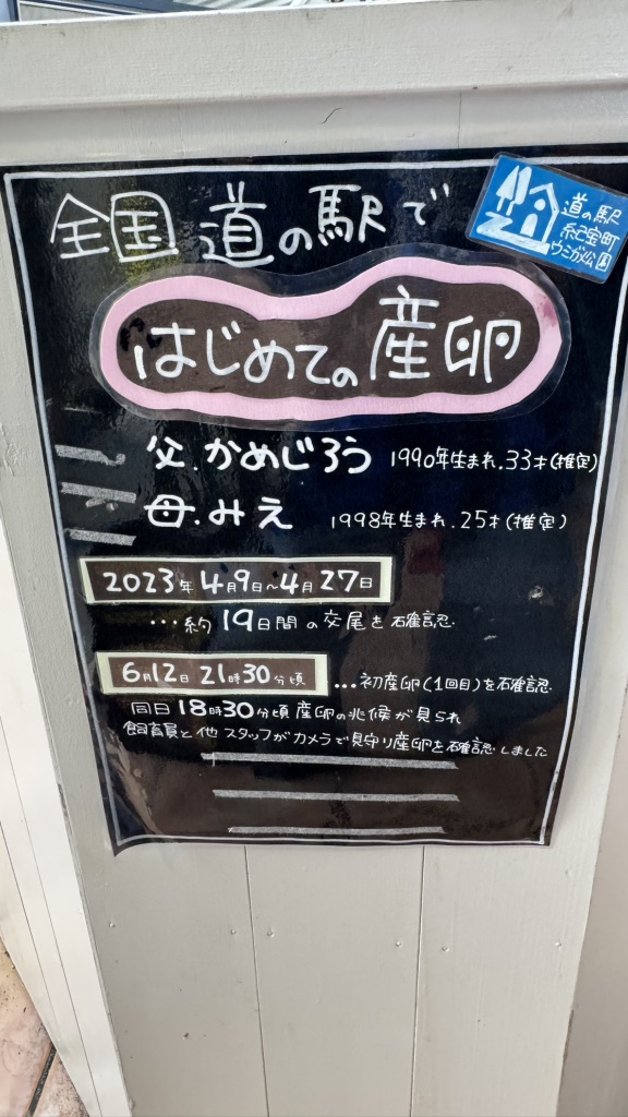 道の駅 紀宝町ウミガメ公園の写真