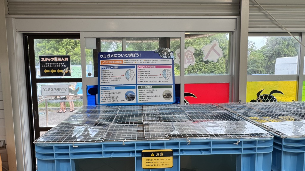 道の駅 紀宝町ウミガメ公園の写真