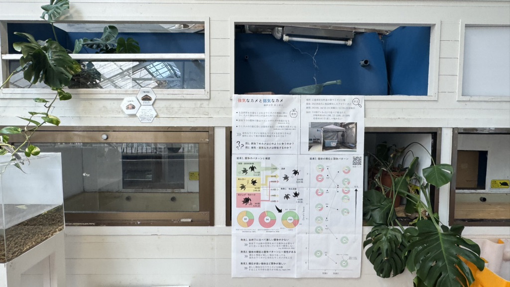 道の駅 紀宝町ウミガメ公園の写真