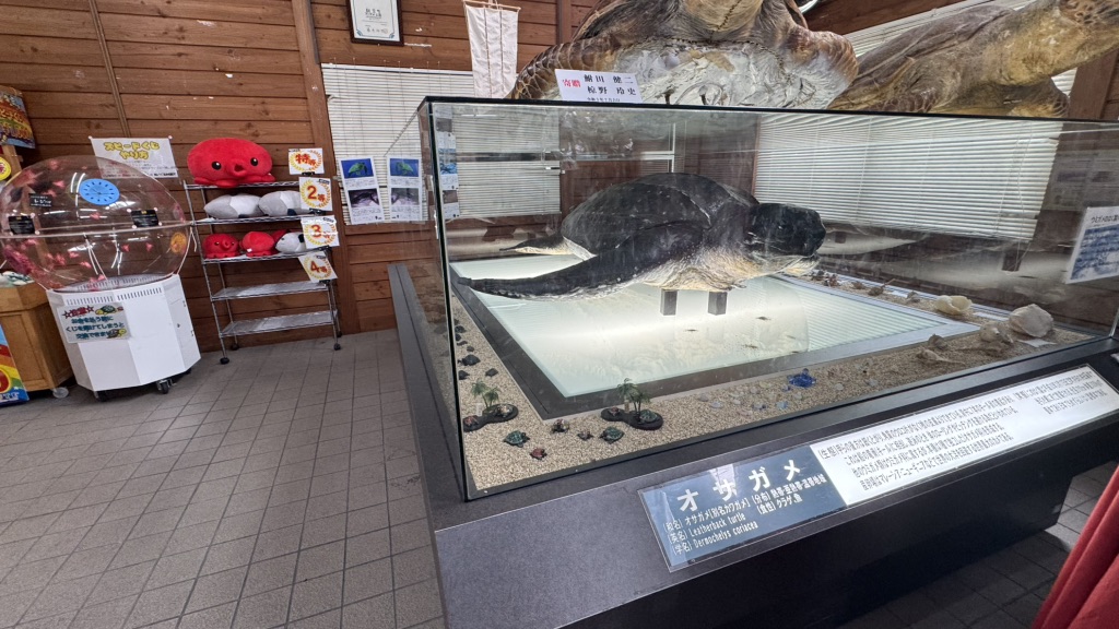 道の駅 紀宝町ウミガメ公園の写真