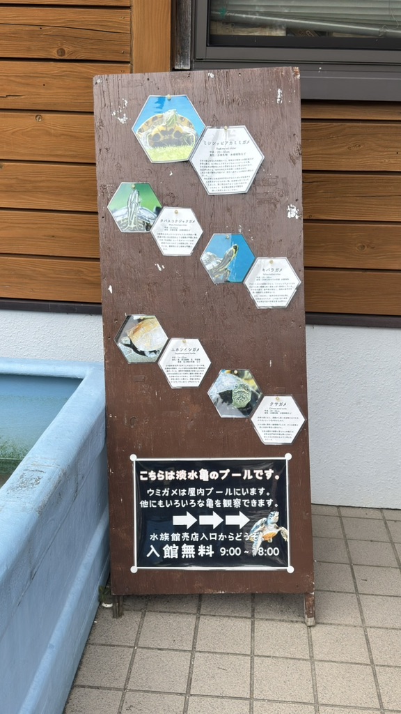 道の駅 紀宝町ウミガメ公園の写真
