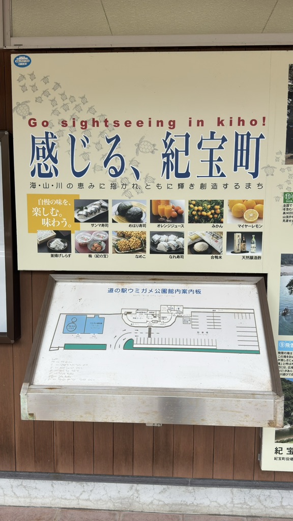 道の駅 紀宝町ウミガメ公園の写真