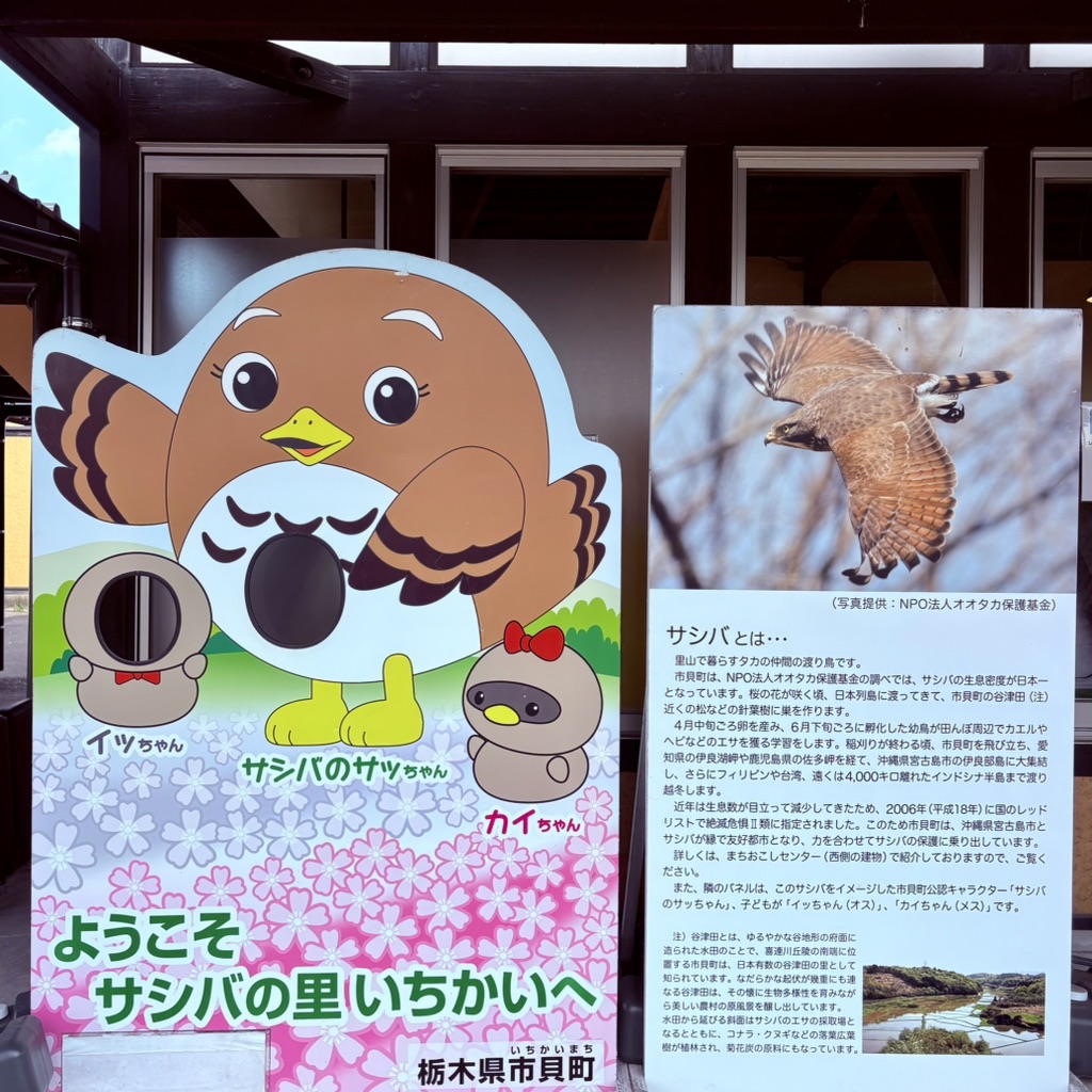道の駅 サシバの里いちかいの写真