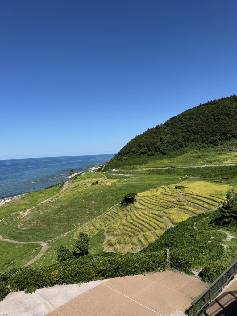 道の駅 千枚田ポケットパークの写真