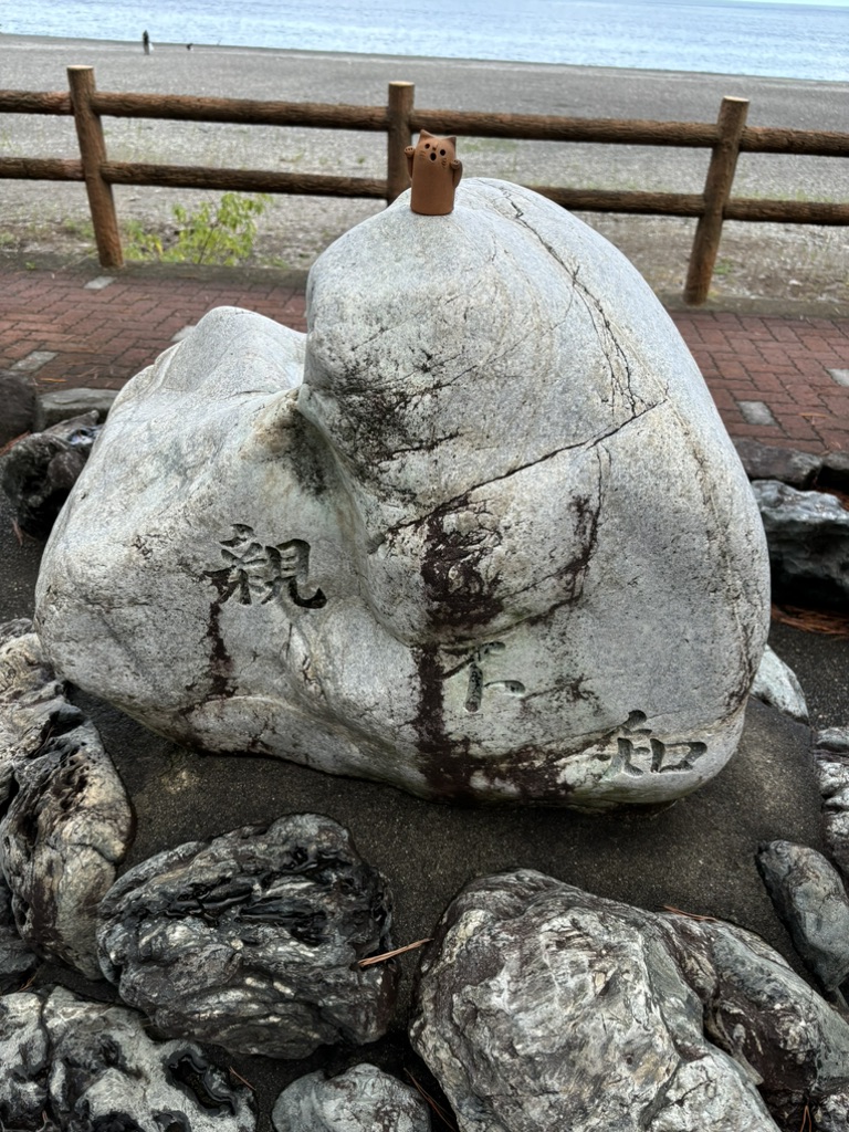 道の駅 親不知ピアパークの写真