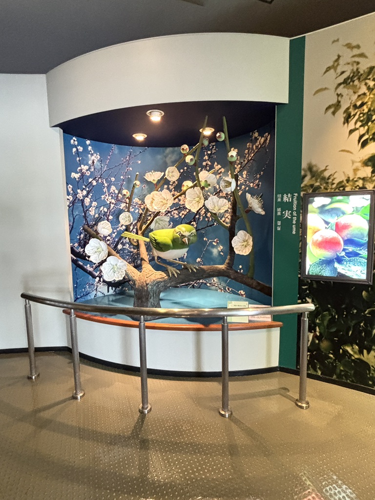道の駅 みなべうめ振興館の写真
