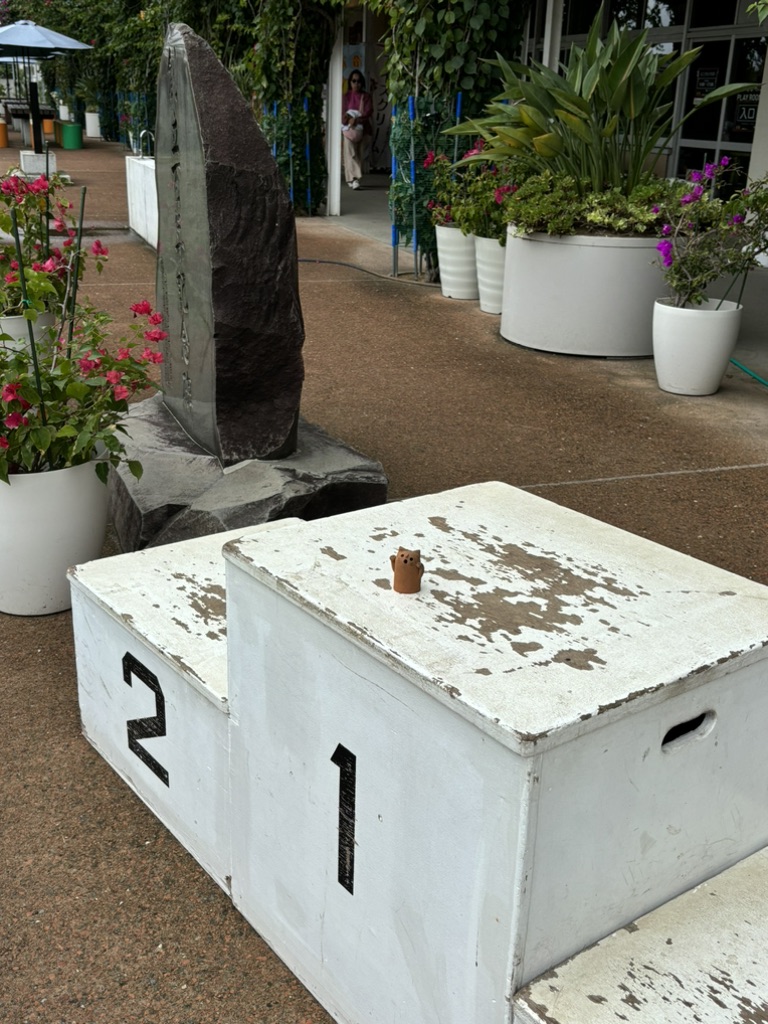 道の駅 保田小学校の写真