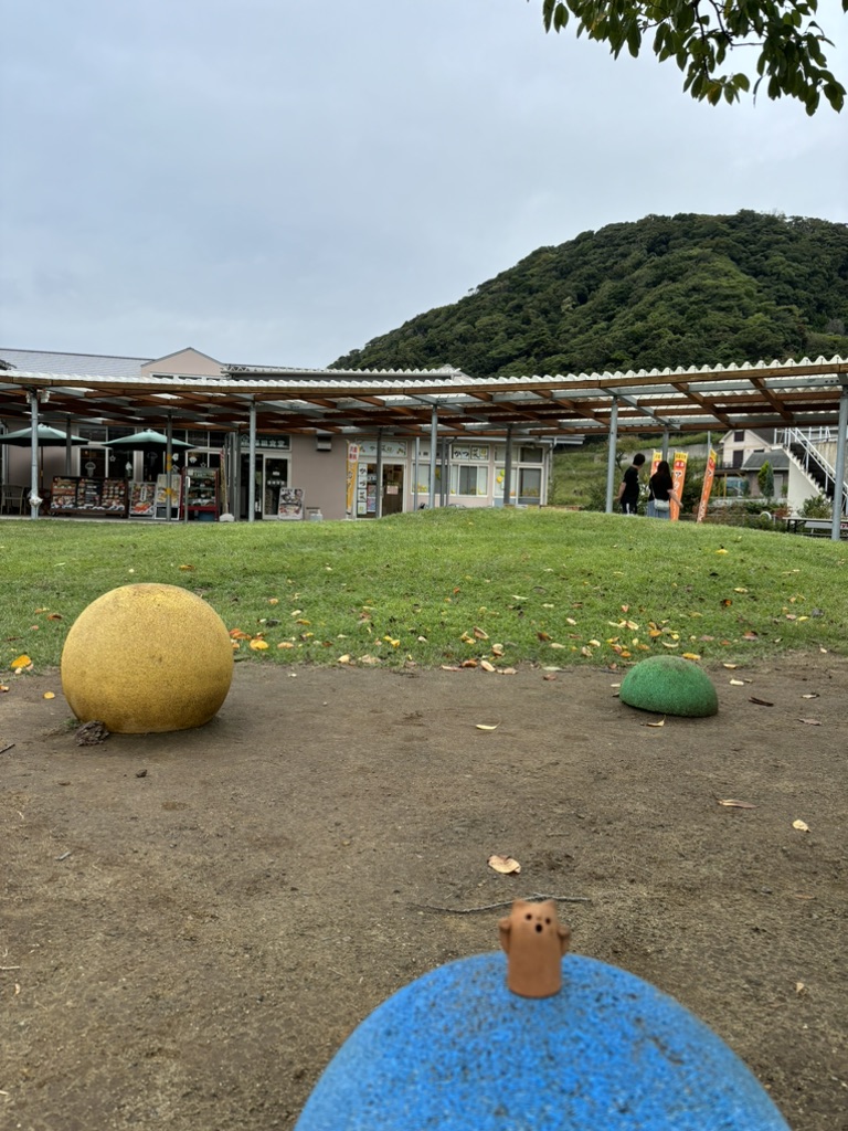 道の駅 保田小学校の写真