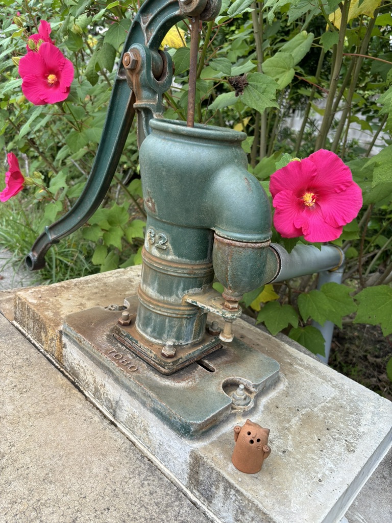 道の駅 保田小学校の写真