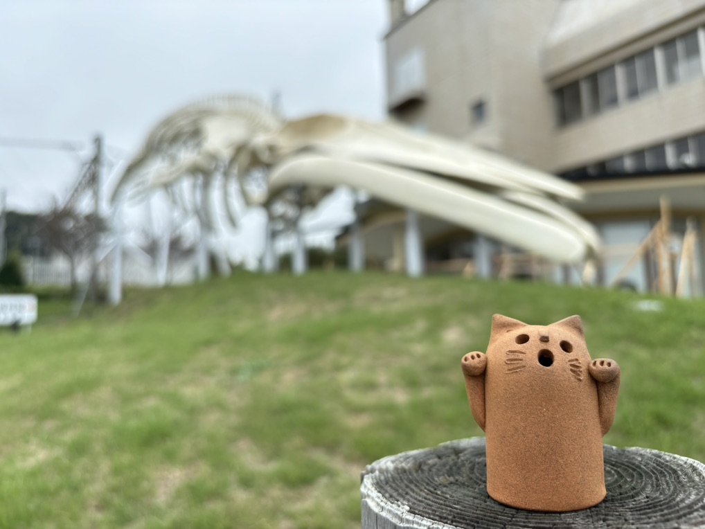 道の駅 和田浦　WA・O！の写真
