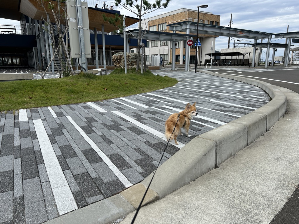道の駅 若狭美浜はまびよりの写真