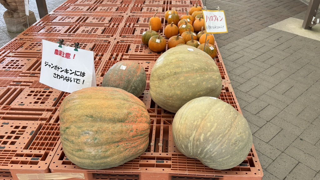 道の駅 かもがわ円城の写真