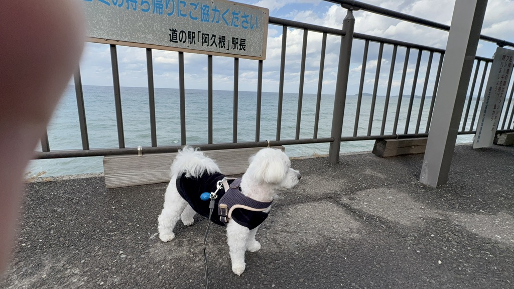 道の駅 阿久根の写真