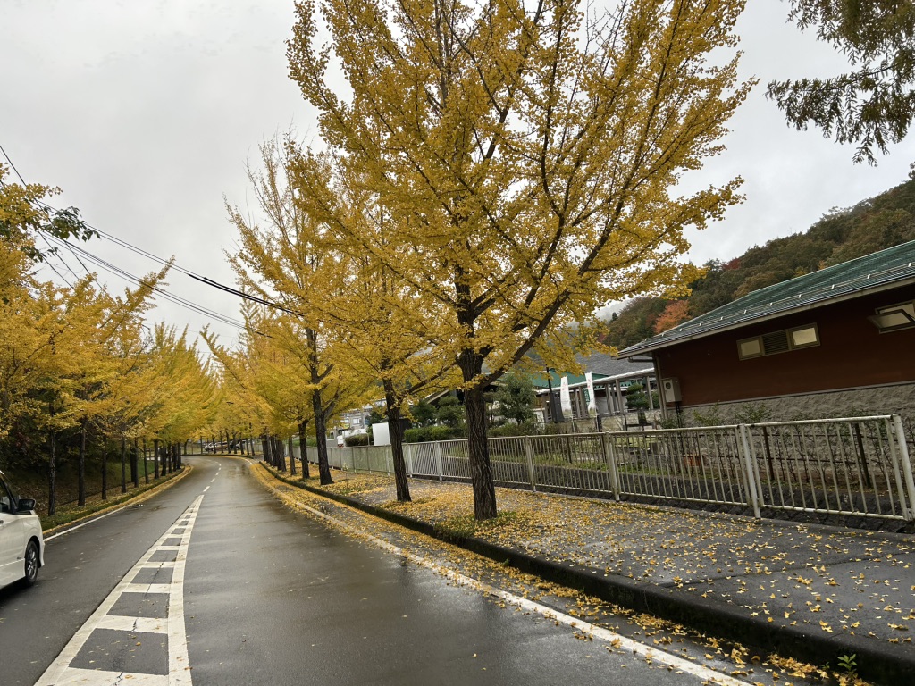 道の駅 瑞穂の里・さらびきの写真