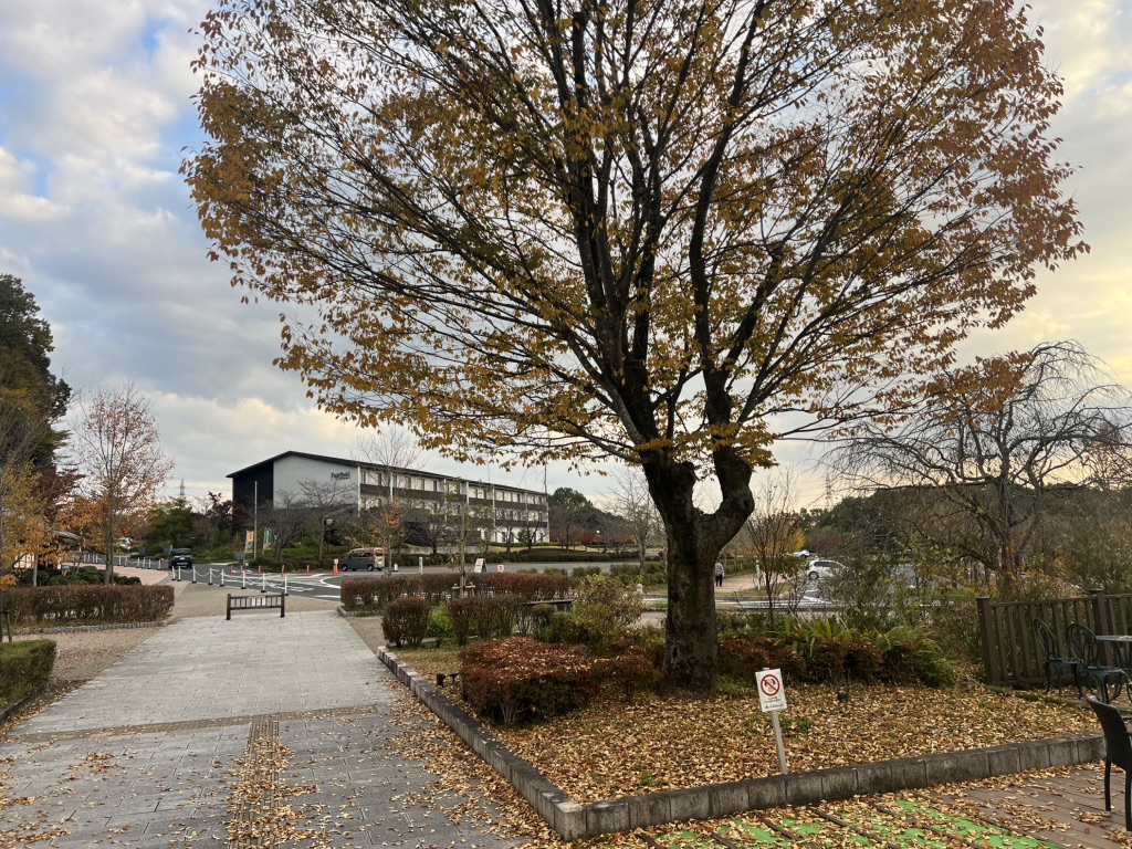 道の駅 みのかもの写真