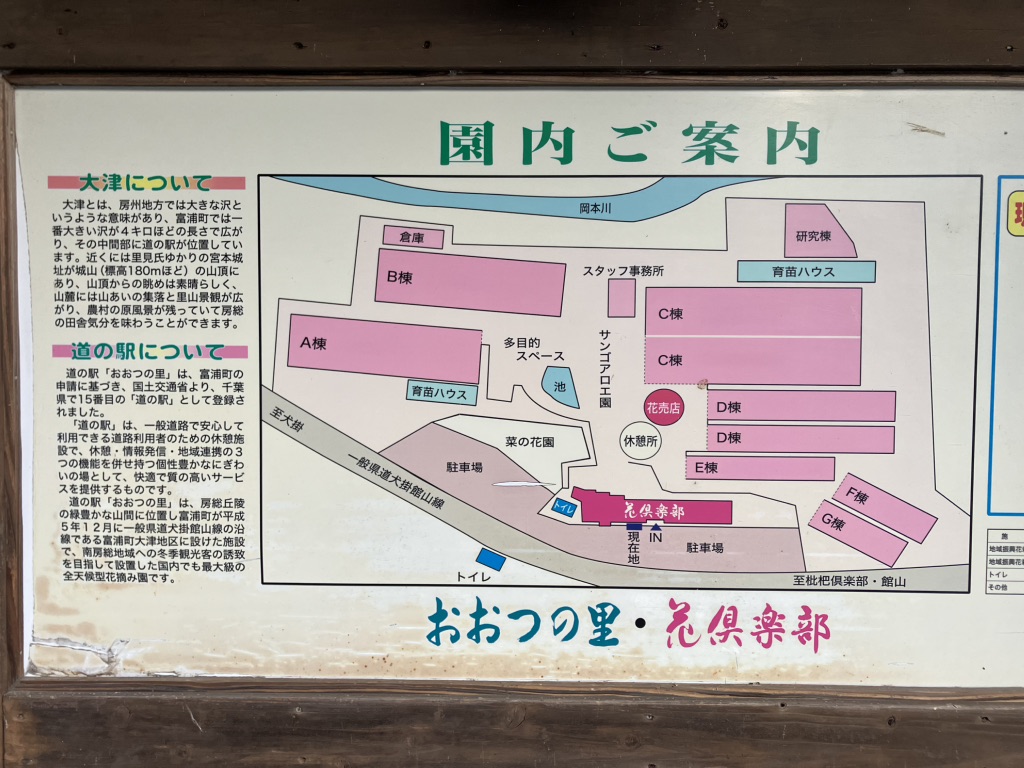 道の駅 おおつの里の写真