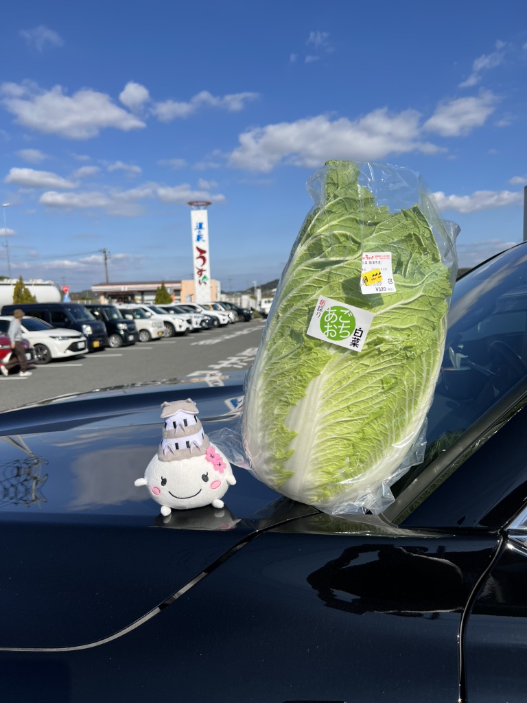 道の駅 うすいの写真