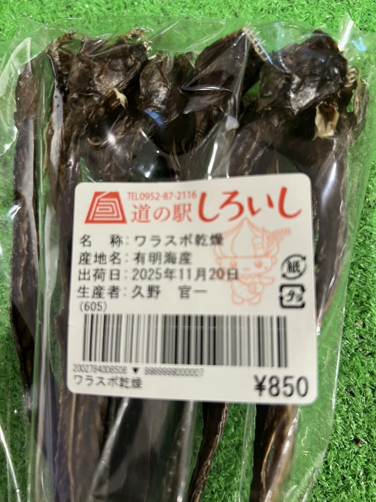 道の駅 しろいしの写真